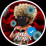 MMA MEMES
