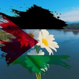حالات تصميم 🇵🇸