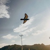 مُسْتَغِيثْ. "