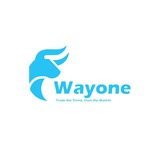 Way One Capital Ltd.