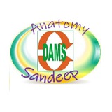 Dr. Sandeep Anatomy(Dams) Channel