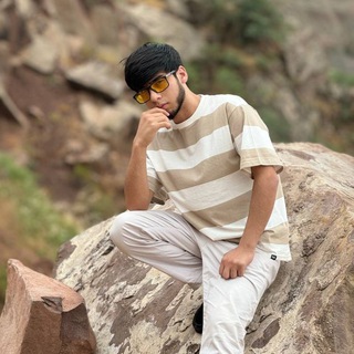 FARZIN MUZ