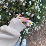 🌿