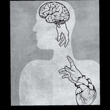 بين العقل والقلب 🧠🫀