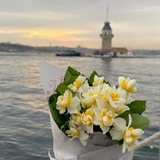 شتاء | 𝚆𝙸𝙽𝚃𝙴𝚁