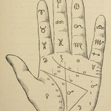 maxstavr