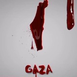 الأقصى يوحدنا 🤝 #لن_تسقط_الراية 🇵🇸 <i class="emo