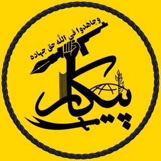 پیکار