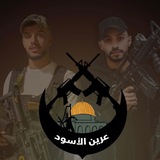 حالات عرين الأسود