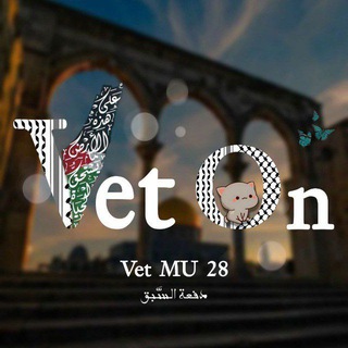 Vet on 4 "28" (جراحة )" 🕊 🔻