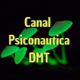 Psiconautica, DMT, Psilocibina y Enteógenos