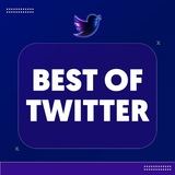 The Best Twitter Threads