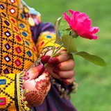 🌹 دګلونو ګېډۍ 🌹