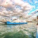 وظائف بورسعيد - Portsaid jobs