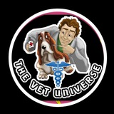 THE VET UNIVERSE (@veterinary officer, @V.O. @vet aspirants, @Veterinary information) 🐶 <i class="emoji" style="background-image:url('//telegram.org/img/emo