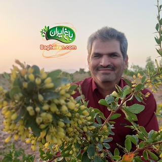 باغ ایران | از مزرعه به خانه 🌱 💚