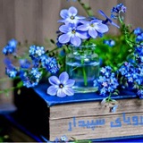 🕊رویای سپیدار🧚♀️