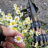 ♪♧محب درمان ♤