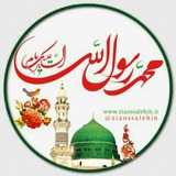 زمینی ها