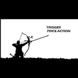 TRIGGER