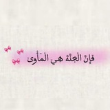 فَإِنَّ الْجَنَّةَ هِي الْمَأْوَيٰ 💜 ))