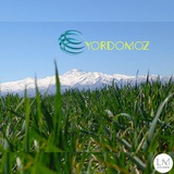 Yordomoz