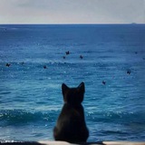 Güneş Müzik ☀️ 🎵