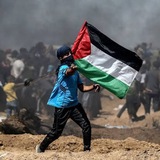 ZMS 52 "دفعة زياد انور" 🇵🇸 🇪🇬