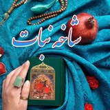♥️ شاخه نبات ♥️