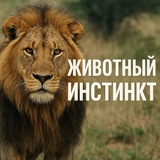 Животный инстинкт