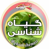 گیاه شناسی