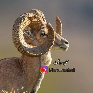 🐏 کانال آهنگهای محلی مرودشت 🐏