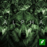 Fresh Alpha💎