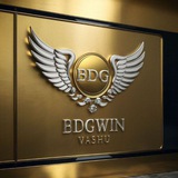 BDG WIN VASHU BHAI