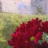 « روحٌ لله »