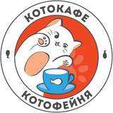 Котокафе «Котофейня»