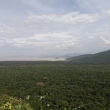 Tesfaye Gabbiso