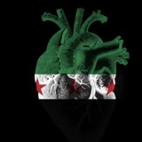 الهيئة الطلابية في كلية الطب البشري _ جامعة حمص _ نهضة الطلاب الأحرار