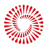 Voluntarios del Bicentenario
