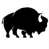 Buffalo Trader