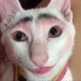 Циничный косметолог 💉 😹