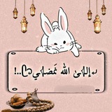 الـ𓂆ـي الله نمـ𓂆ـضيᥫ᭡ 🤍