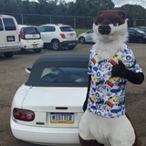🏳️🌈 🏁 Shitbox Society <i class="emoji"