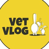 VetVlog(ВетВлог) Ветеринарная ОНКОЛОГИЯ и не только 👨🏻⚕️