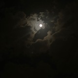Night