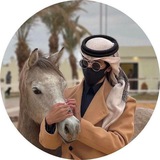 𓆩 🖤 𖤍 |⁴⁸ • غــــٓــرام ـالبدو٘𓆪