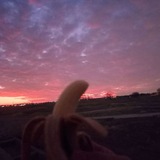 chiquita meme