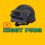 DNS PUBG | دی ان اس پابجی