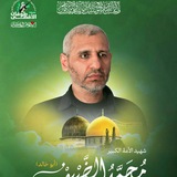 شاعرة برق المعارك وضحى الهمداني