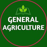 General Agriculture 🌱